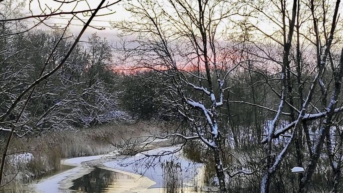 Joeaeaere Puhkekeskus Villa Langa Kültér fotó