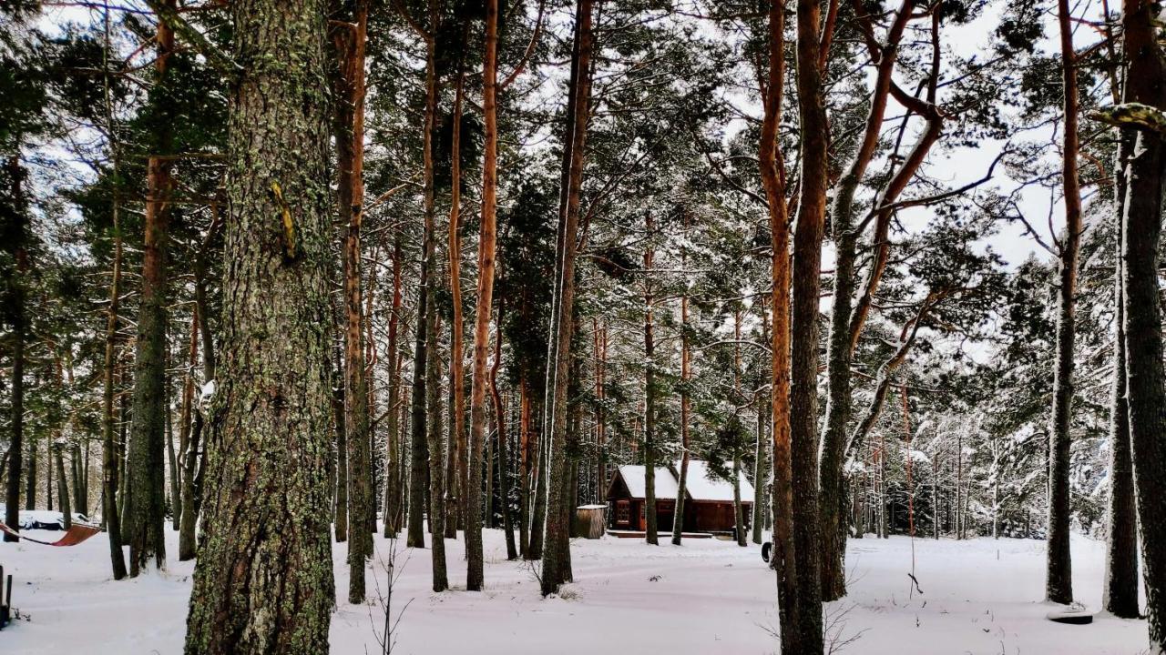 Joeaeaere Puhkekeskus Villa Langa Kültér fotó